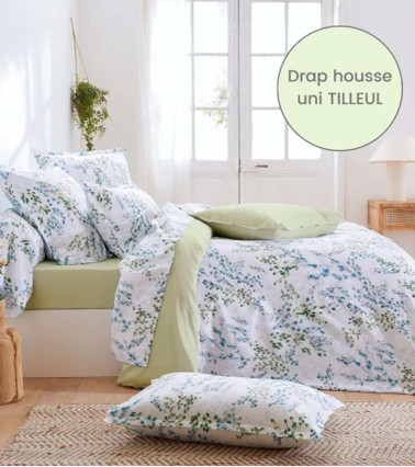 Taie de traversin satin de coton ANGÈLE TILLEUL