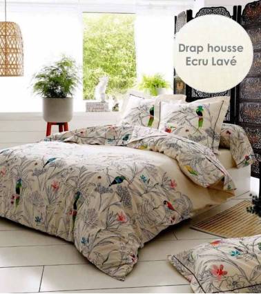 Taie de traversin coton AMAZONIA