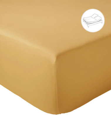 Drap housse uni percale de coton AMBRE pour lit articulé (tête et pieds relevables)