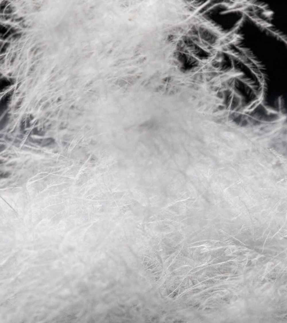 Couette duvet d'oie chaude mi-saison 220g/m², luxueuse et gonflante, enveloppe en satin de coton bio thermorégulé