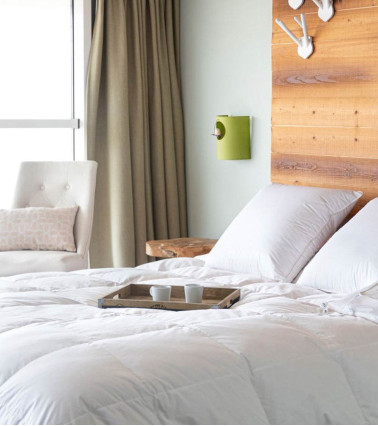Oreiller 90% duvet d'oie neuf confort moelleux, tissu satin bio, naturellement anti-acariens, fabrication française